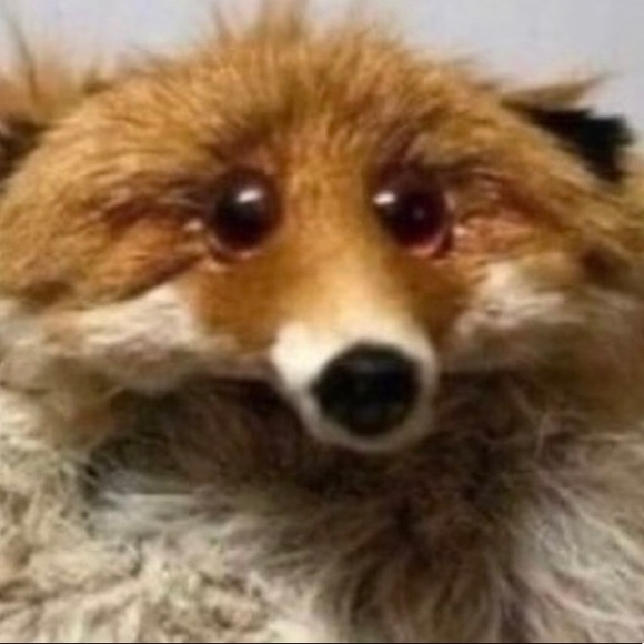 Meet your Posher, Alison - Picture 1 of 1